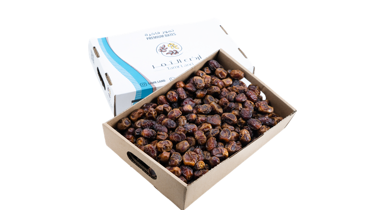 تمر زاملي نثر