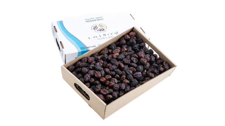 تمر رزيز نثر